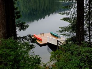 Preview wallpaper pier, forest, trees, lake, reflection
