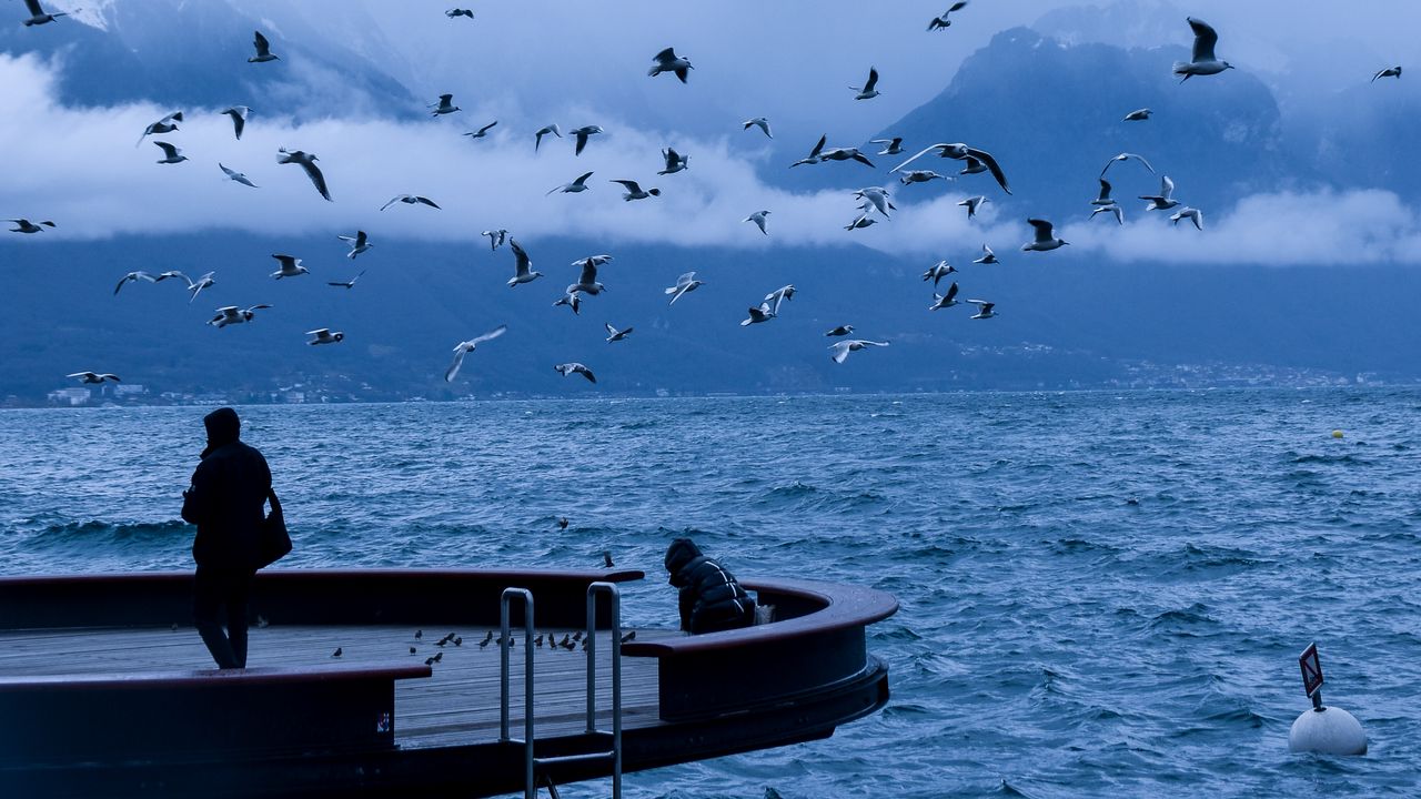 Wallpaper pier, people, birds, sea, nature