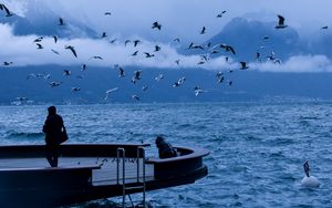 Preview wallpaper pier, people, birds, sea, nature