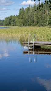 Preview wallpaper pier, pond, water, forest, nature