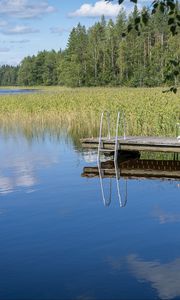 Preview wallpaper pier, pond, water, forest, nature