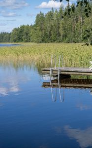 Preview wallpaper pier, pond, water, forest, nature