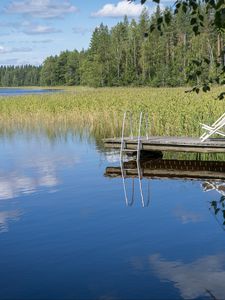 Preview wallpaper pier, pond, water, forest, nature