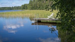 Preview wallpaper pier, pond, water, forest, nature