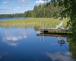 Preview wallpaper pier, pond, water, forest, nature