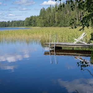 Preview wallpaper pier, pond, water, forest, nature