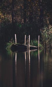 Preview wallpaper pier, river, trees, grass, forest