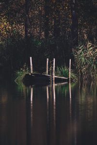 Preview wallpaper pier, river, trees, grass, forest