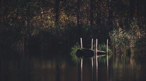 Preview wallpaper pier, river, trees, grass, forest