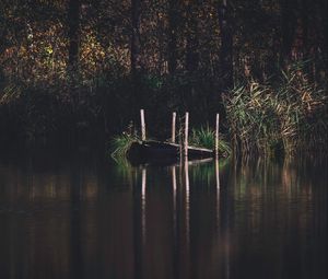 Preview wallpaper pier, river, trees, grass, forest
