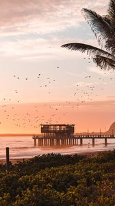 Preview wallpaper pier, sea, birds, beach, coast