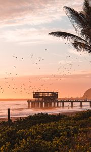 Preview wallpaper pier, sea, birds, beach, coast