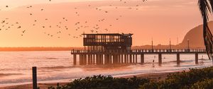 Preview wallpaper pier, sea, birds, beach, coast