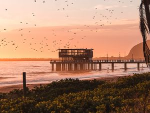 Preview wallpaper pier, sea, birds, beach, coast