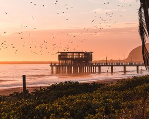 Preview wallpaper pier, sea, birds, beach, coast