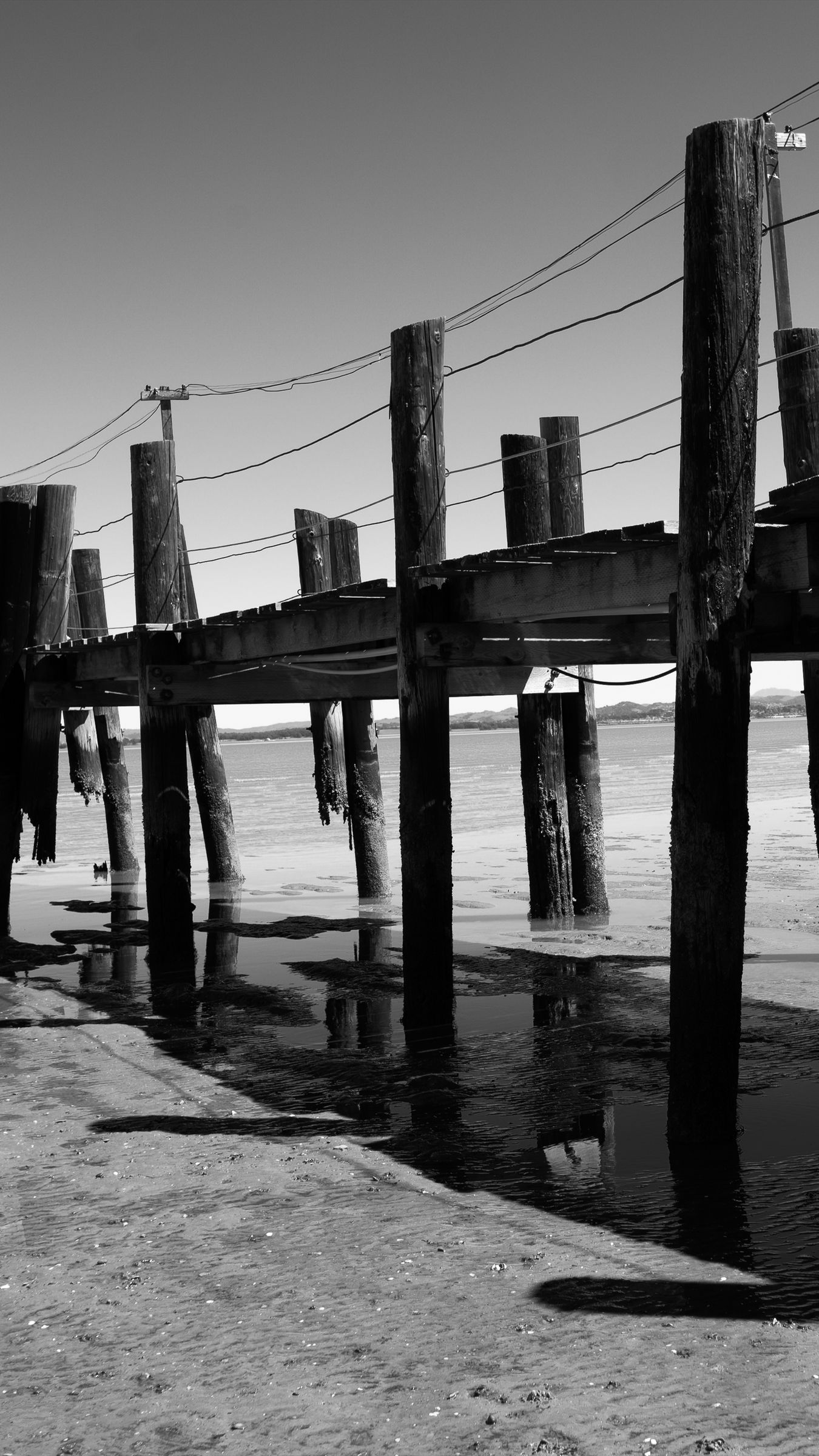 1350x2400 Wallpaper pier, sea, pilings, bw