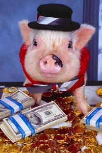Preview wallpaper pig, costume, money, hat, gold