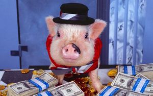 Preview wallpaper pig, costume, money, hat, gold