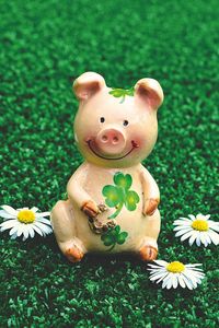 Preview wallpaper pig, figurine, luck, symbol, 2019