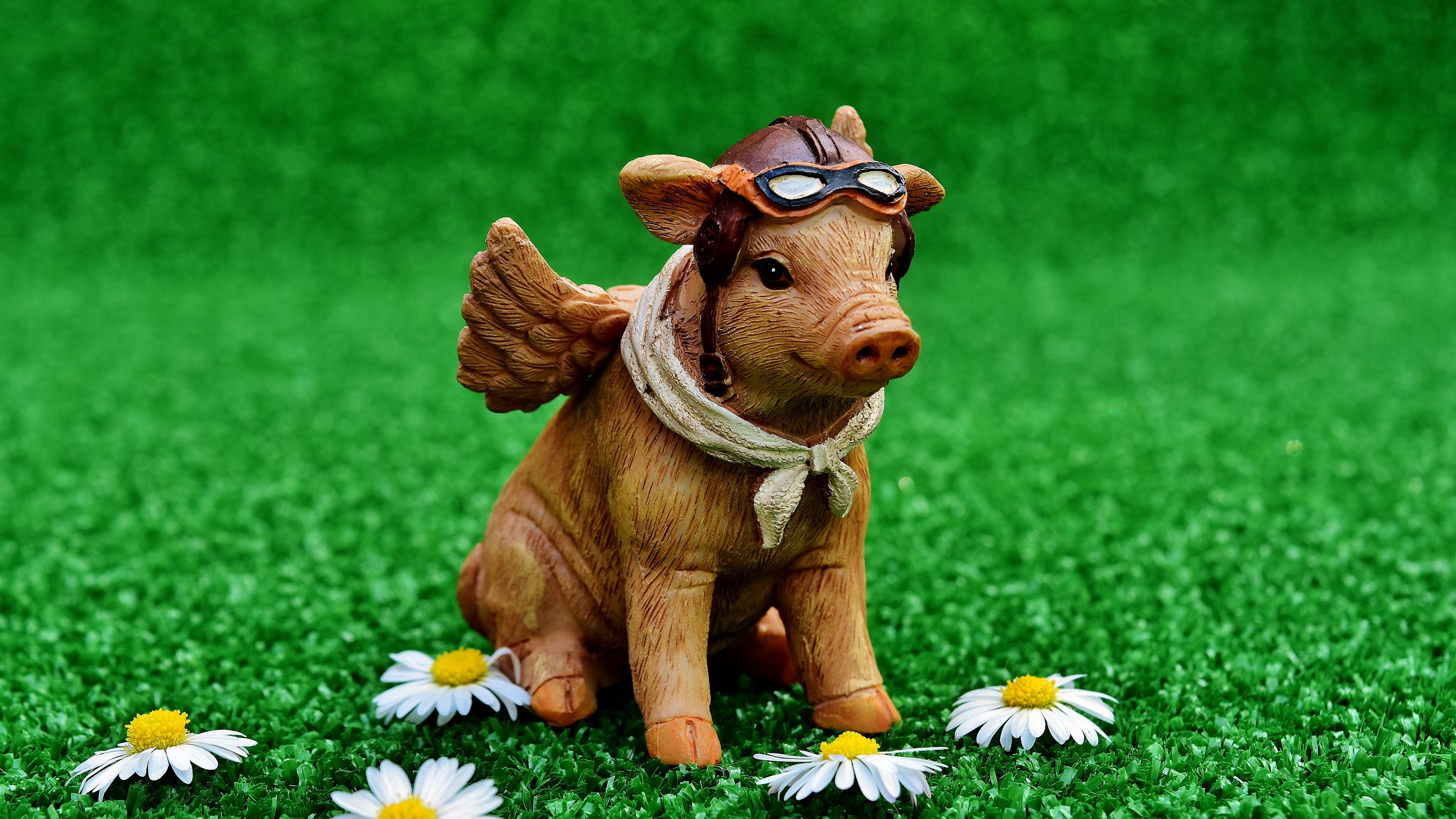3840x2160 Wallpaper pig, pilot, statuette