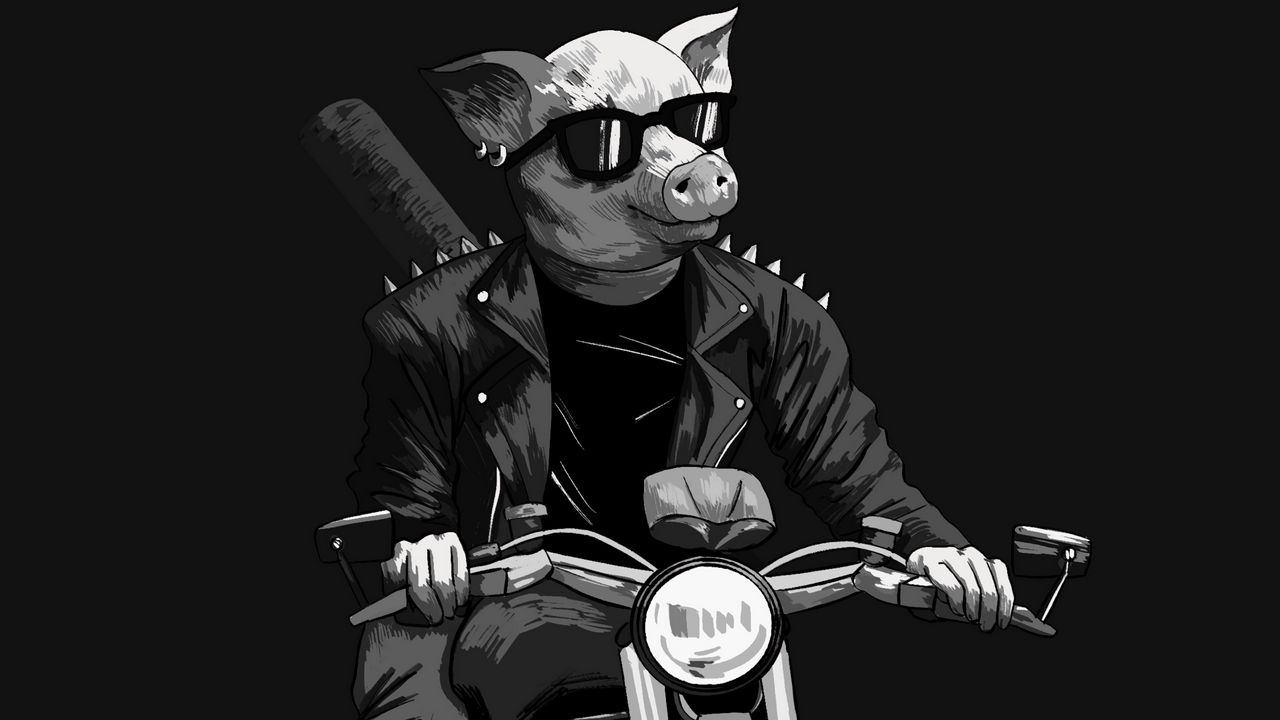 Wallpaper pig, sunglasses, biker, motorcycle, art, black and white