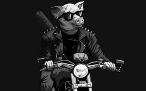 Preview wallpaper pig, sunglasses, biker, motorcycle, art, black and white