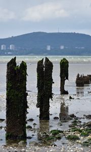 Preview wallpaper pilings, shore, pebbles, sea, mountains