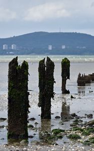 Preview wallpaper pilings, shore, pebbles, sea, mountains