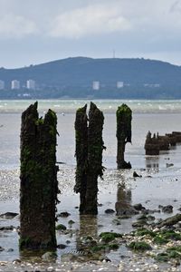 Preview wallpaper pilings, shore, pebbles, sea, mountains