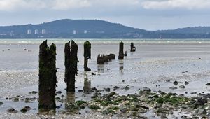 Preview wallpaper pilings, shore, pebbles, sea, mountains