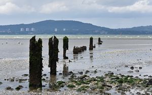 Preview wallpaper pilings, shore, pebbles, sea, mountains