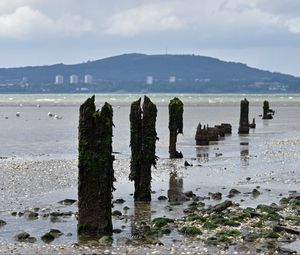 Preview wallpaper pilings, shore, pebbles, sea, mountains