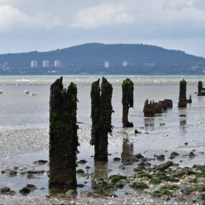 Preview wallpaper pilings, shore, pebbles, sea, mountains