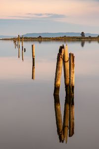 Preview wallpaper pilings, wood, river, reflection