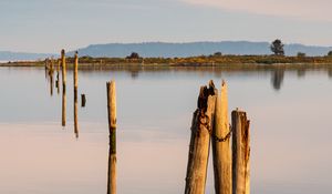 Preview wallpaper pilings, wood, river, reflection
