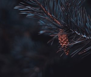 Preview wallpaper pine, branch, cone, needles, macro