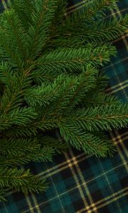 Preview wallpaper pine, branch, needles, green