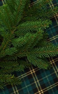 Preview wallpaper pine, branch, needles, green