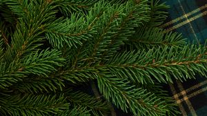 Preview wallpaper pine, branch, needles, green