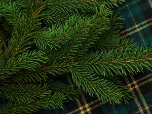 Preview wallpaper pine, branch, needles, green