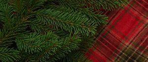 Preview wallpaper pine, branch, needles, plaid