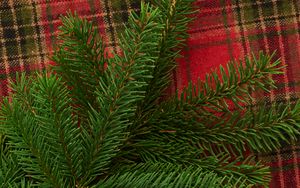 Preview wallpaper pine, branch, needles, plaid, christmas, new year