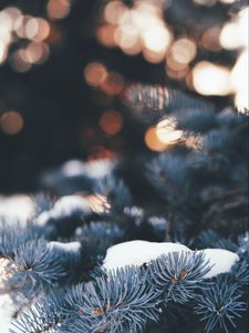 Preview wallpaper pine, branch, snow, macro, needles, winter