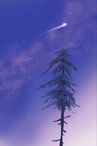 Preview wallpaper pine, comet, dusk, grass, art