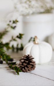 Preview wallpaper pine cone, branch, pumpkin, plant