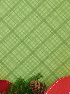 Preview wallpaper pine cone, branch, tape, pattern