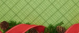 Preview wallpaper pine cone, branch, tape, pattern