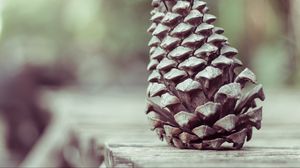 Preview wallpaper pine cone, shape, cone