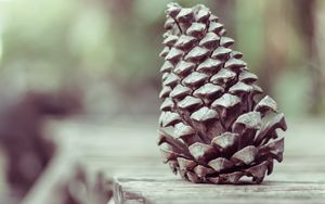 Preview wallpaper pine cone, shape, cone