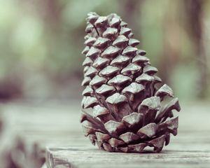 Preview wallpaper pine cone, shape, cone